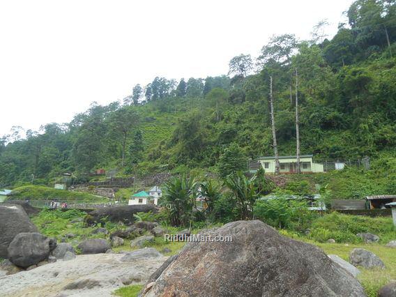 Bindu Village