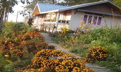 Daragaon Homestay