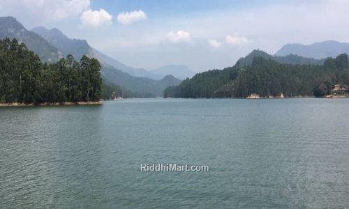 Mattupetty lake munnar