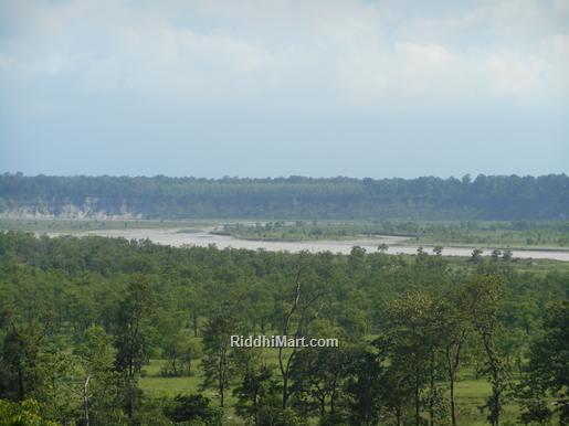 View Teesta River From Cottage