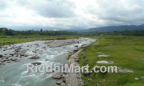 River Murti in Dooars