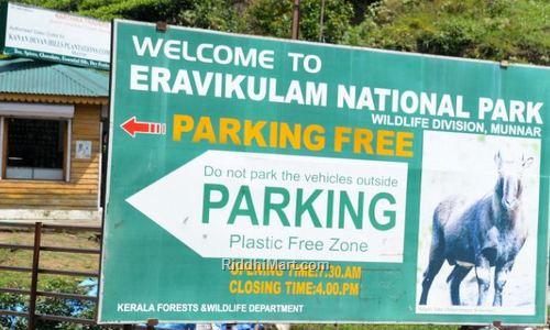 eravikulam or rajamalai park