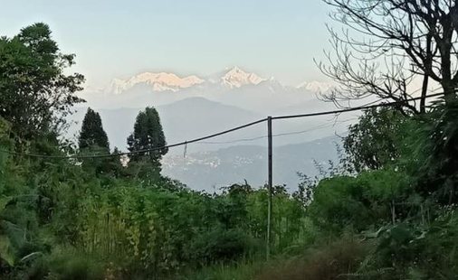 Homestay View From Window