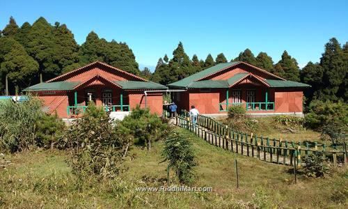 Eco Cottage