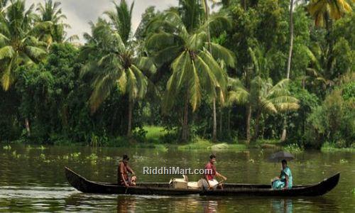 back waters in Aleppy