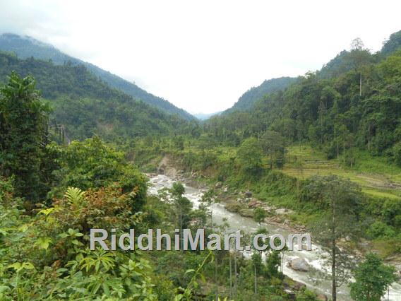 Jaldhaka river from Jhalong view point