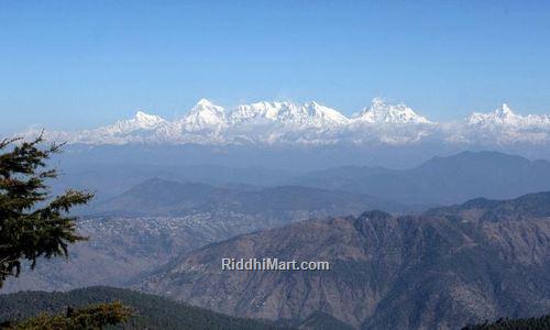 Jilling Estate Uttarakhand