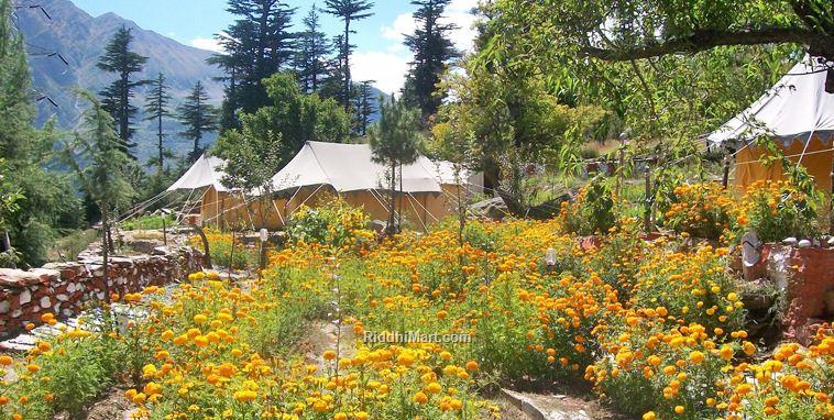 Swiss Cottage Tent