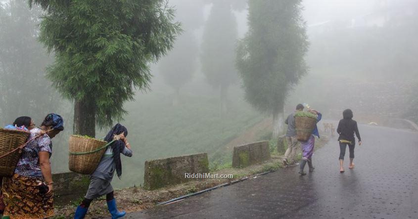 Way To Mirik