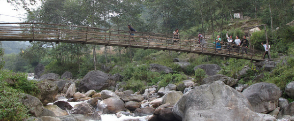 Bamboo Bridge