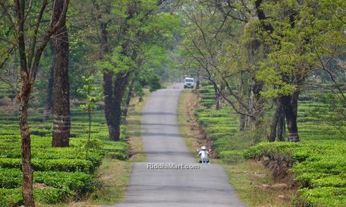 Way To Paren