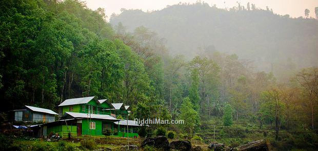 Accommodation Cottages