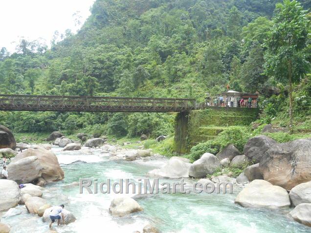 Hanging Bridge