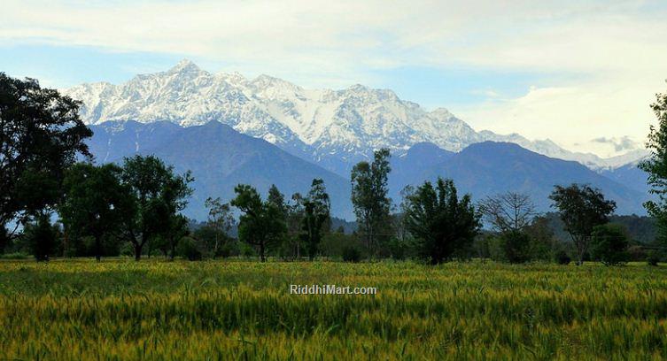 Picturesque Valley